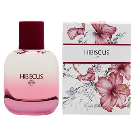 zara perfume that smells like louis vuitton|zara's hibiscus perfume.